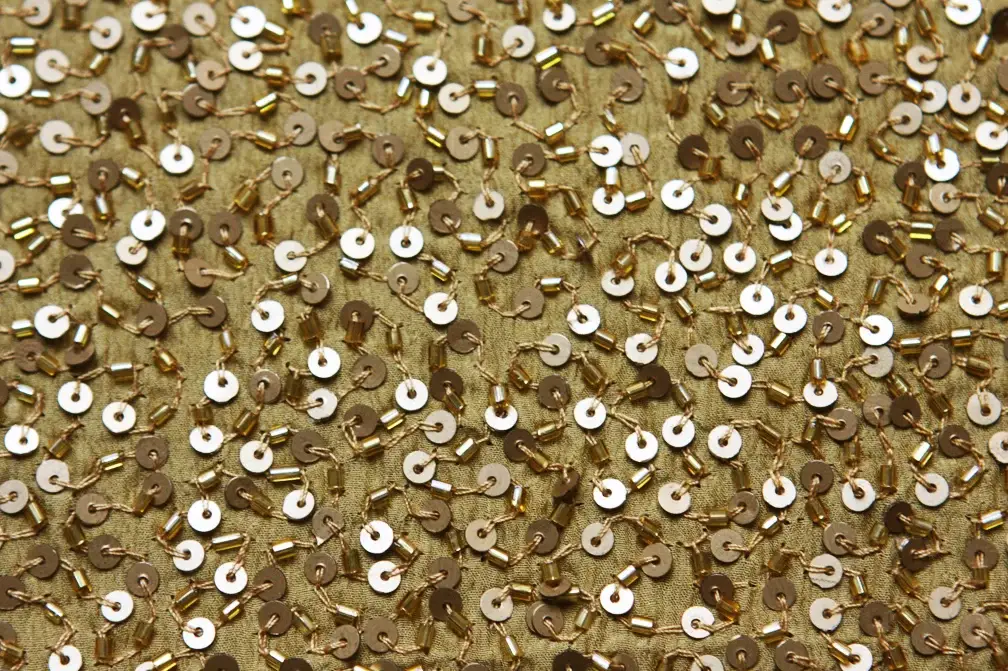 Sequins on Silk Chiffon2