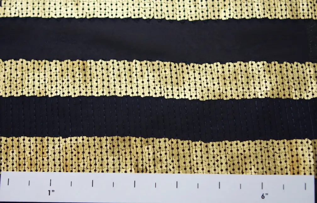 Sequins on Chiffon1