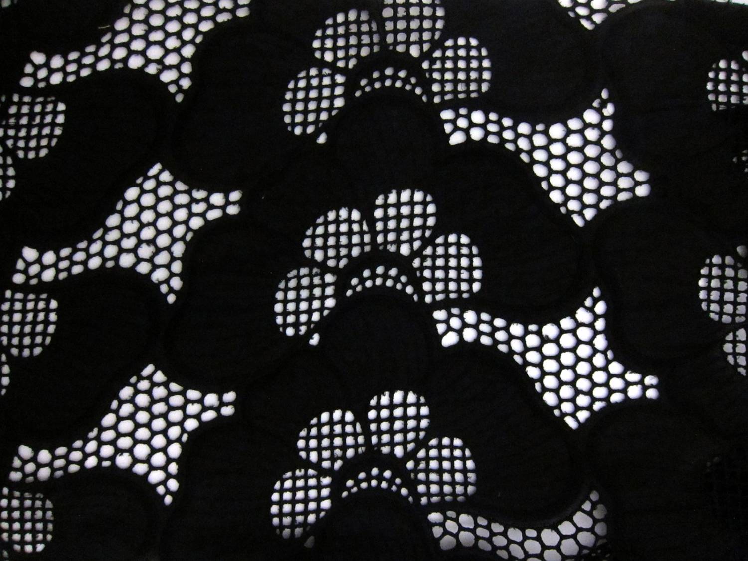 Cotton Eyelet in Black0