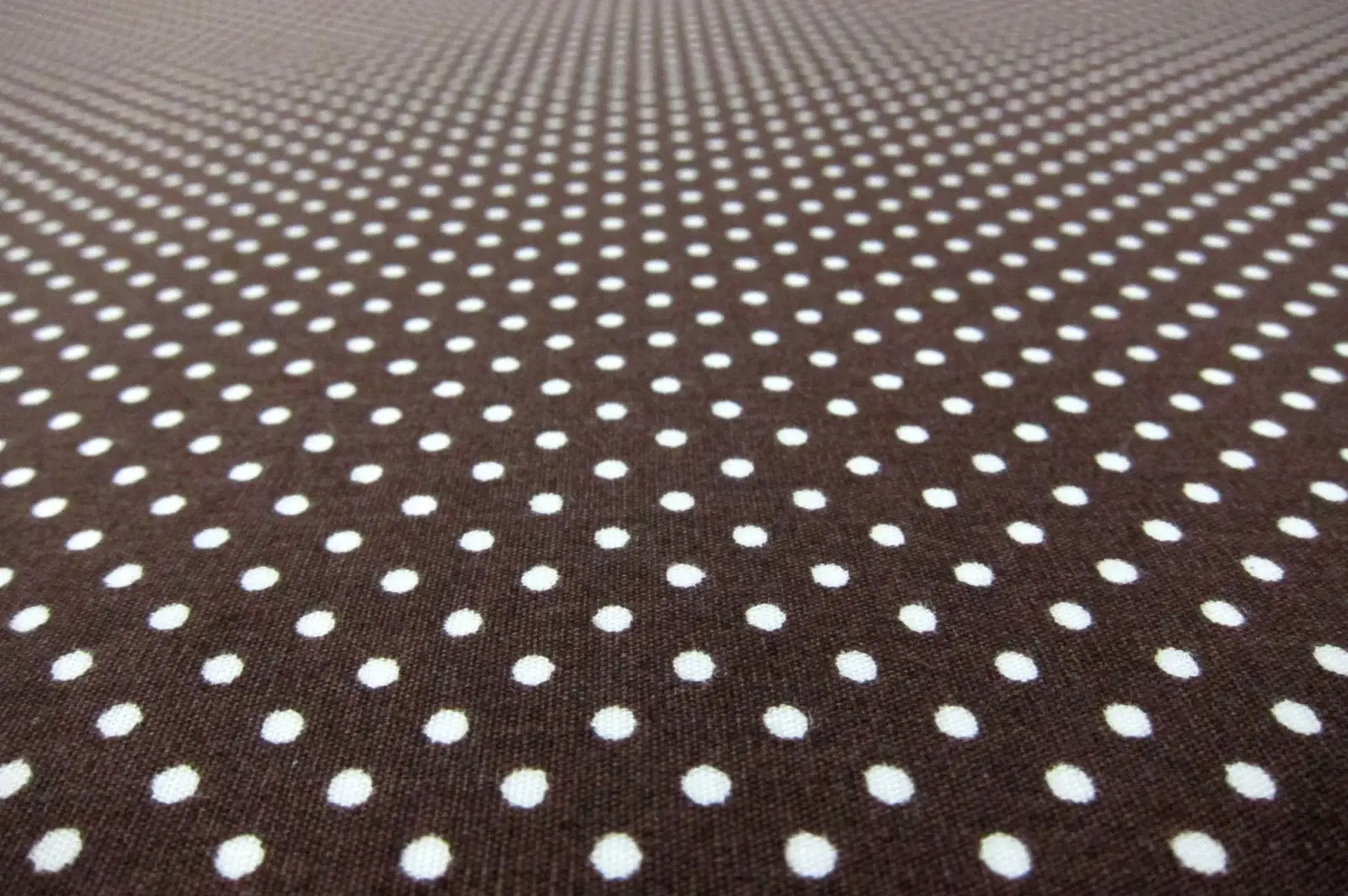 Cotton Broadcloth Print2