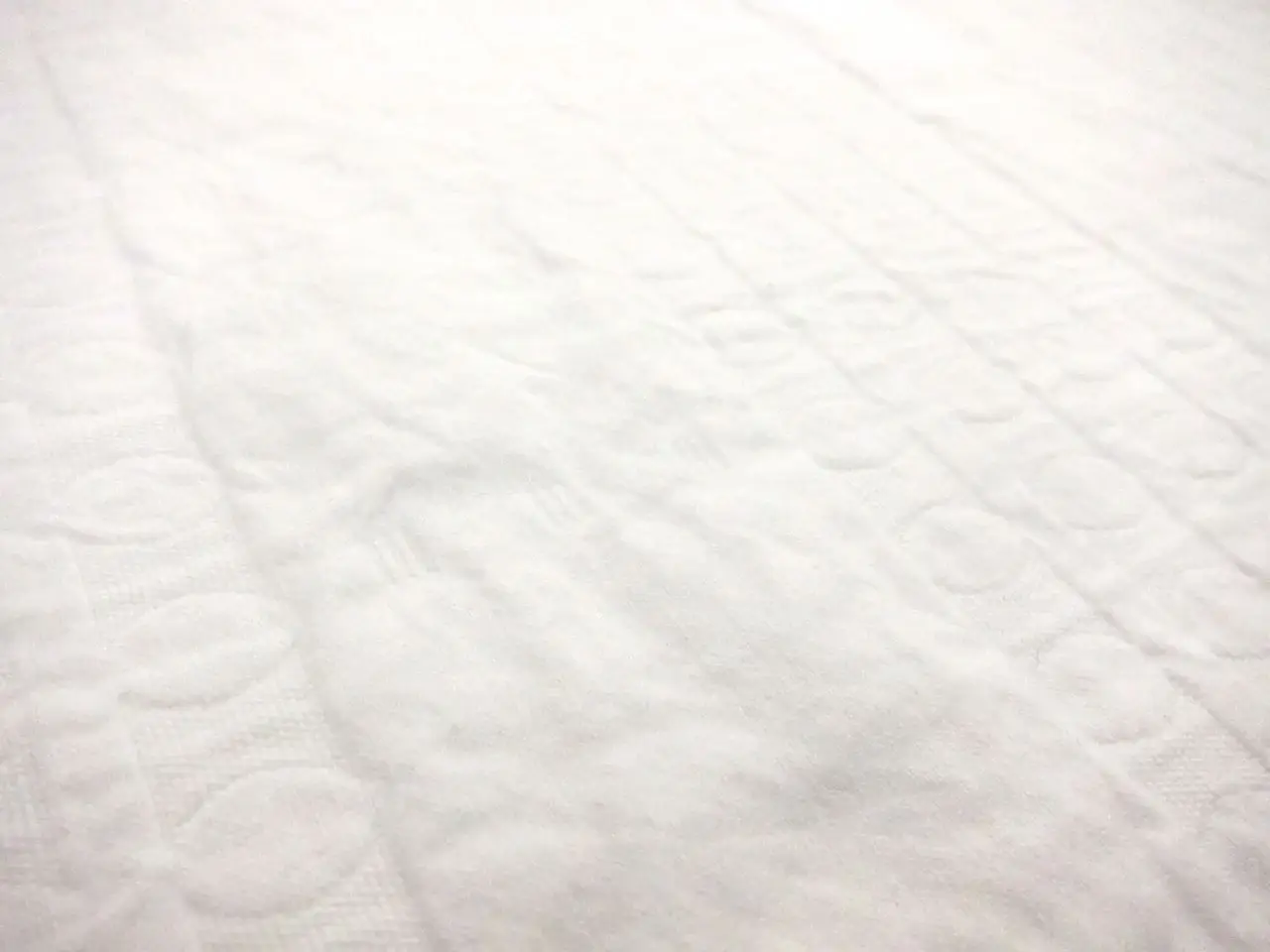 Cotton Brocade2