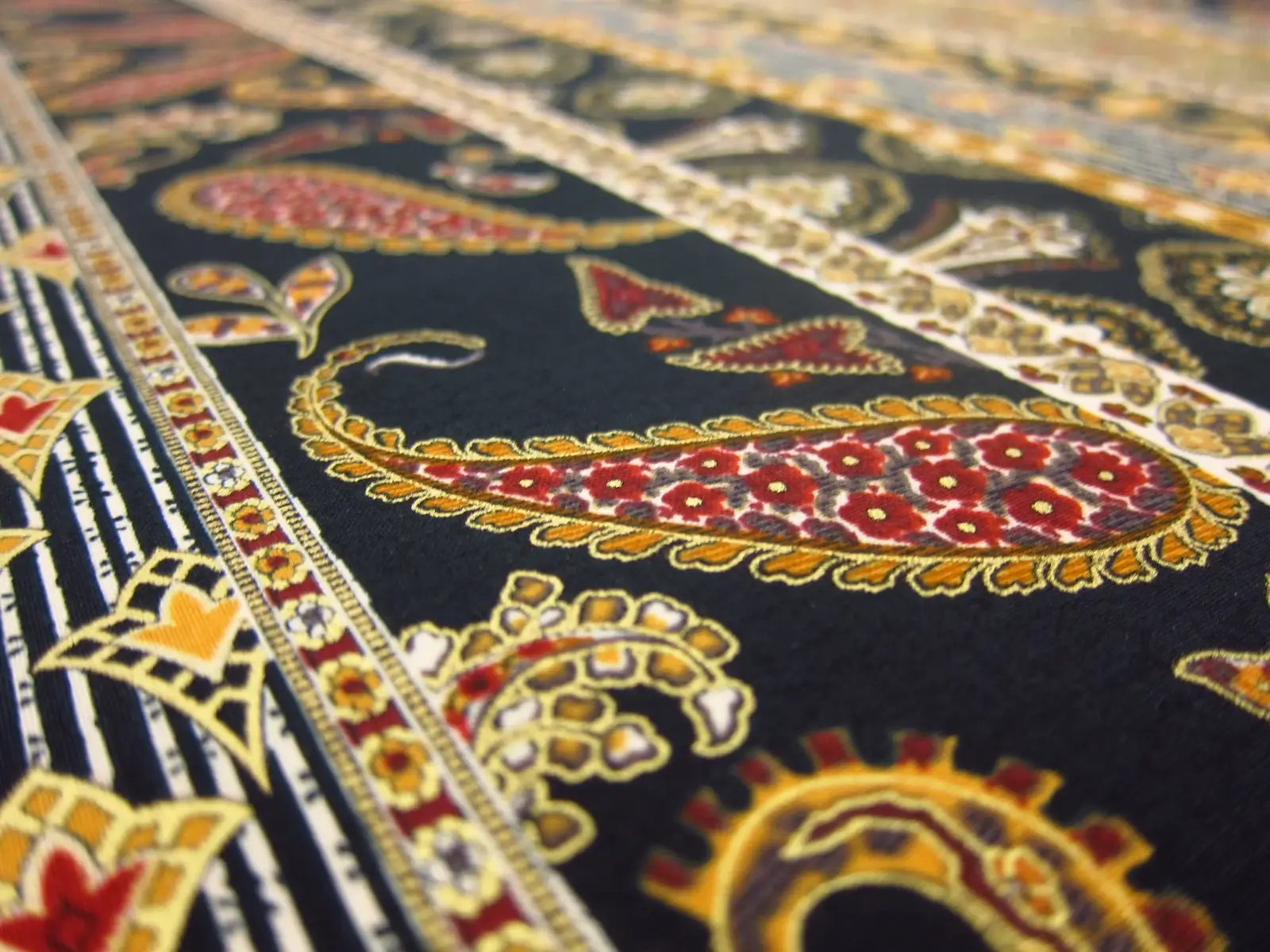 Cotton Broadcloth Print2