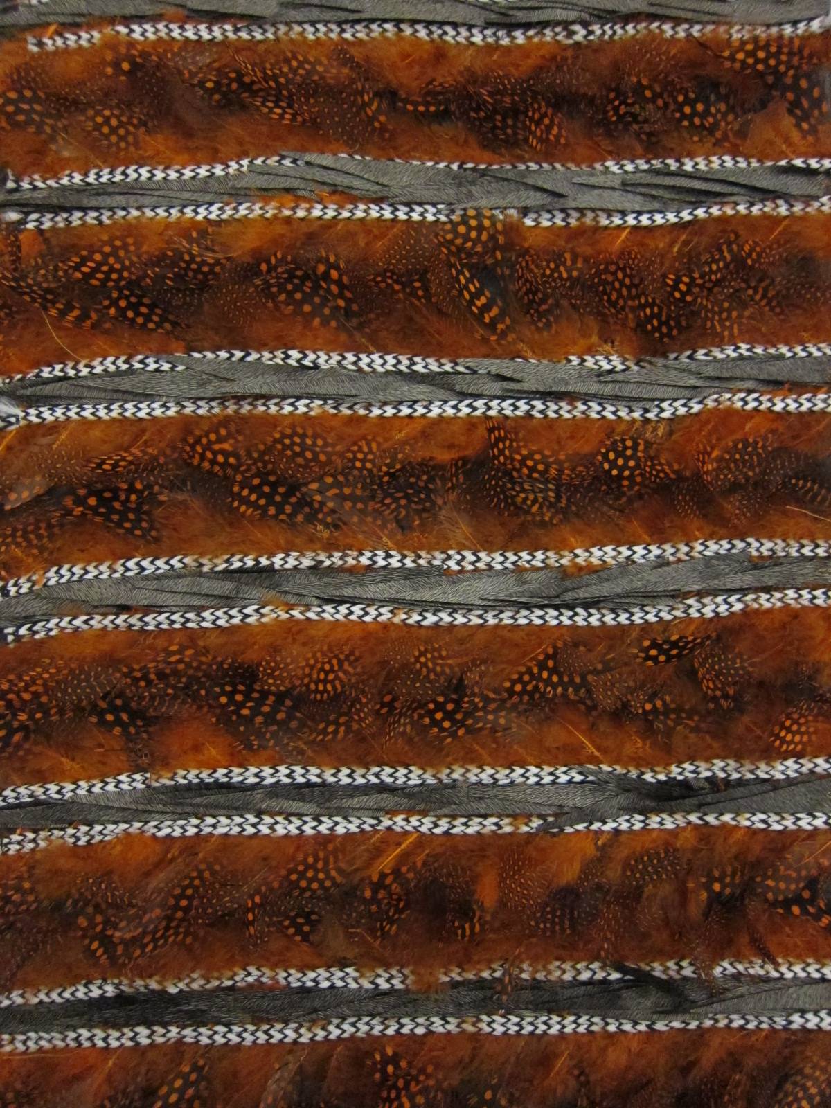 Novelty Feathers0