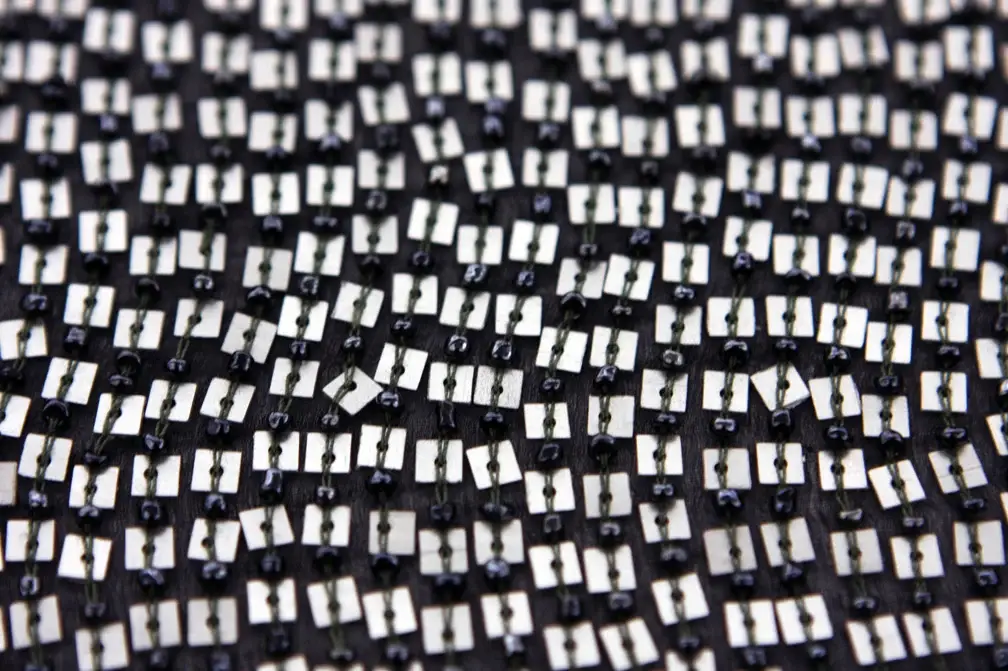 Sequins on Silk Chiffon2