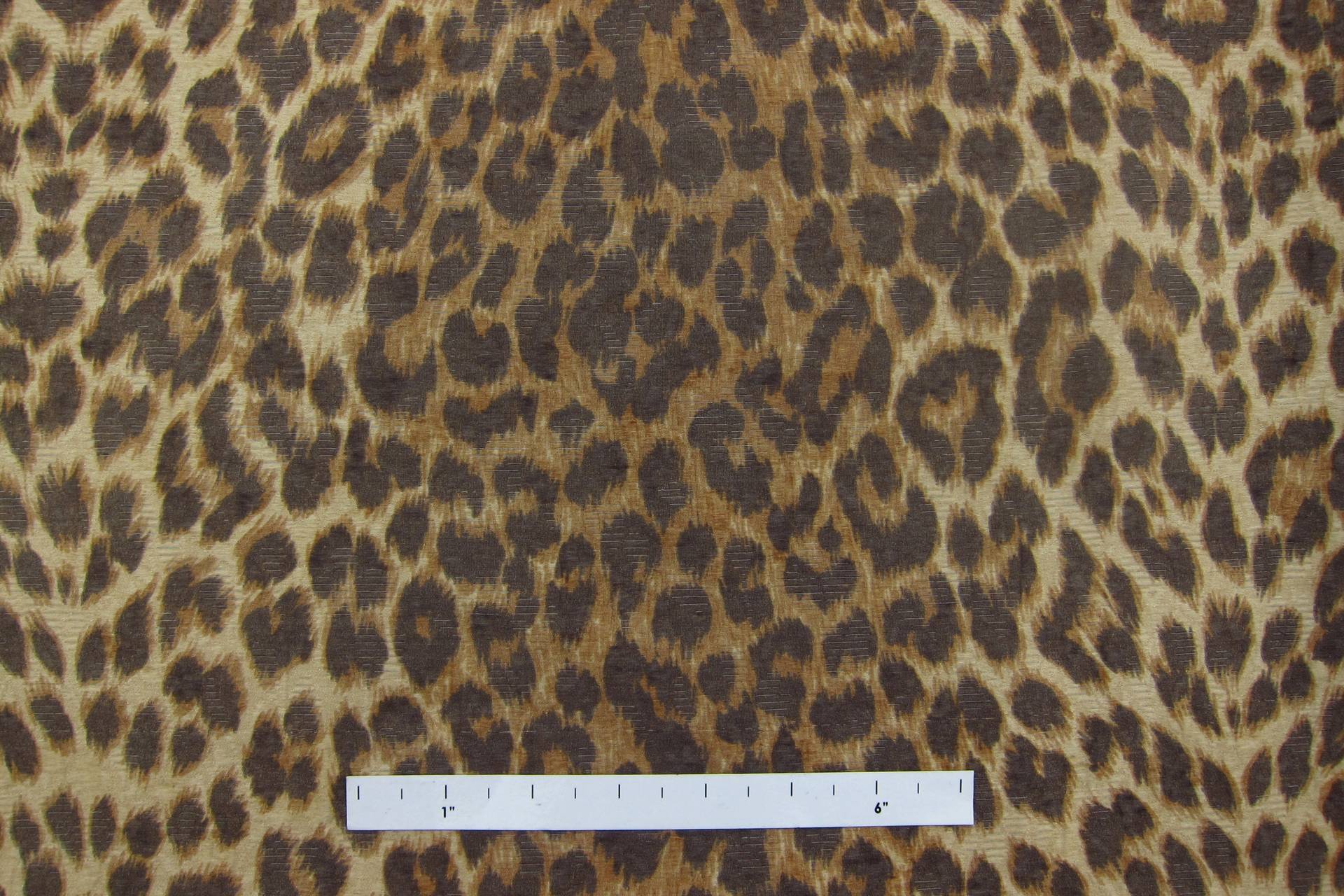 Brocade0