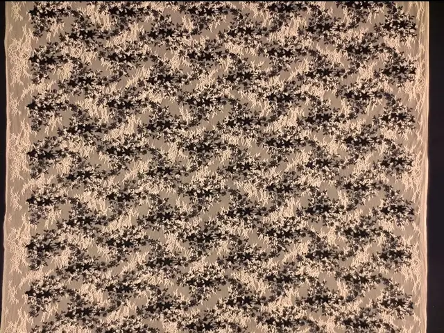 Embroidered Chantilly Lace3