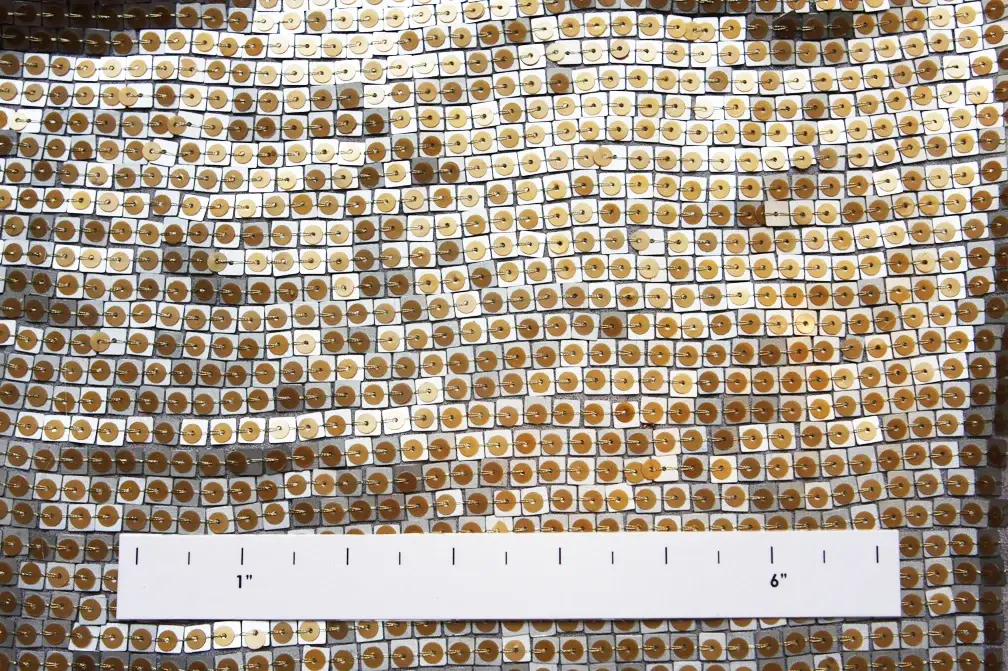 Sequins on Silk Chiffon1