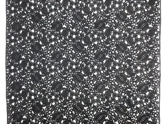 Guipure Lace3