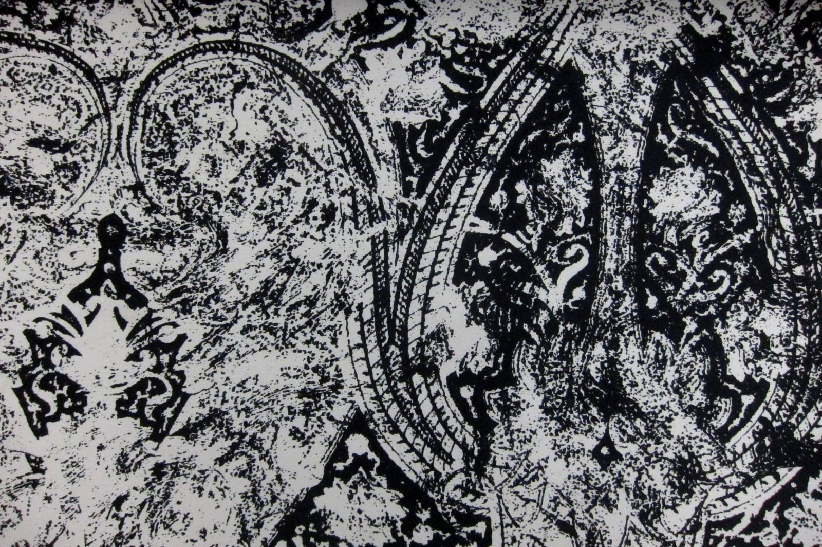 Printed Silk Mikado0