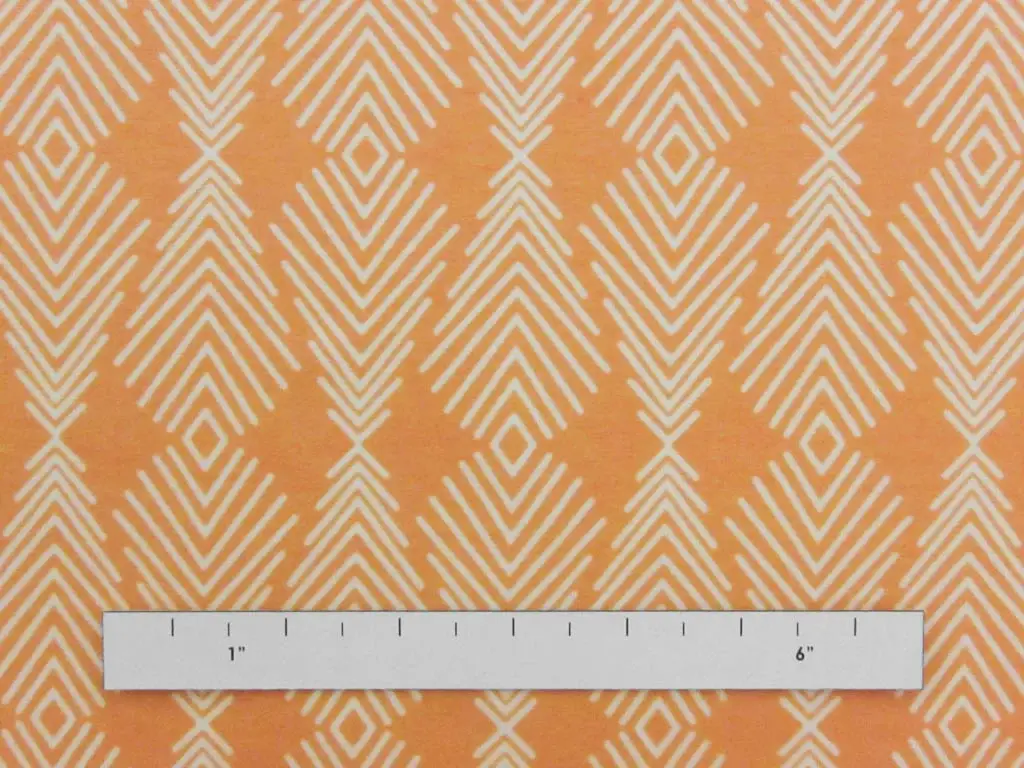 Cotton Lycra Jersey Print1