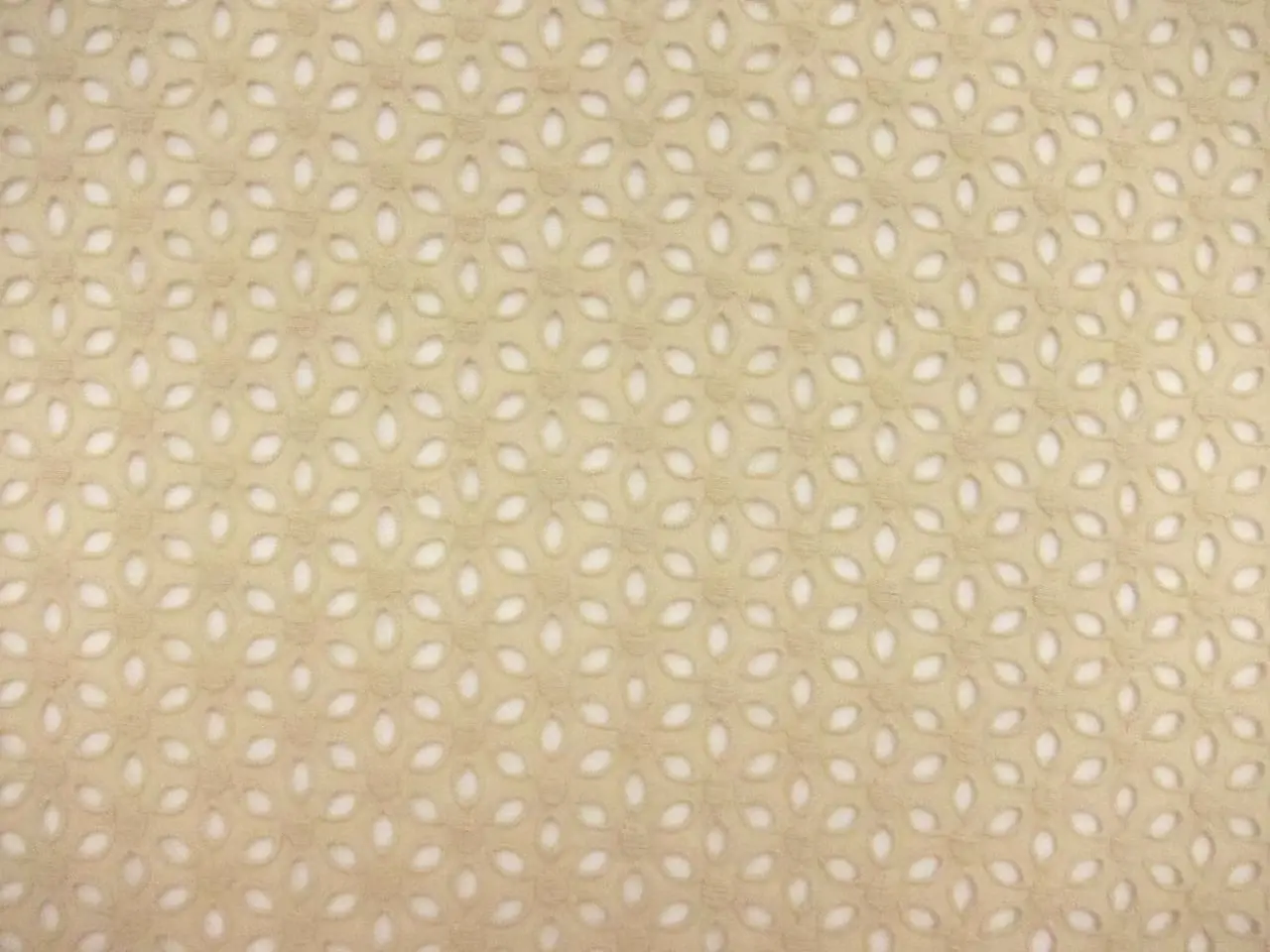 Cotton Eyelet in Beige0