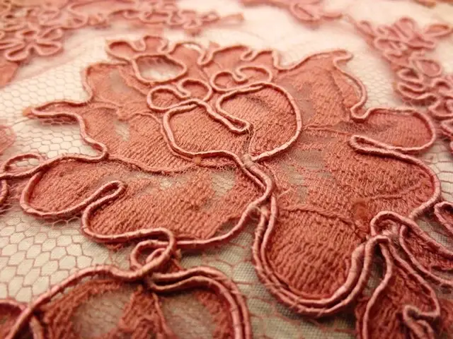 Alençon Lace2