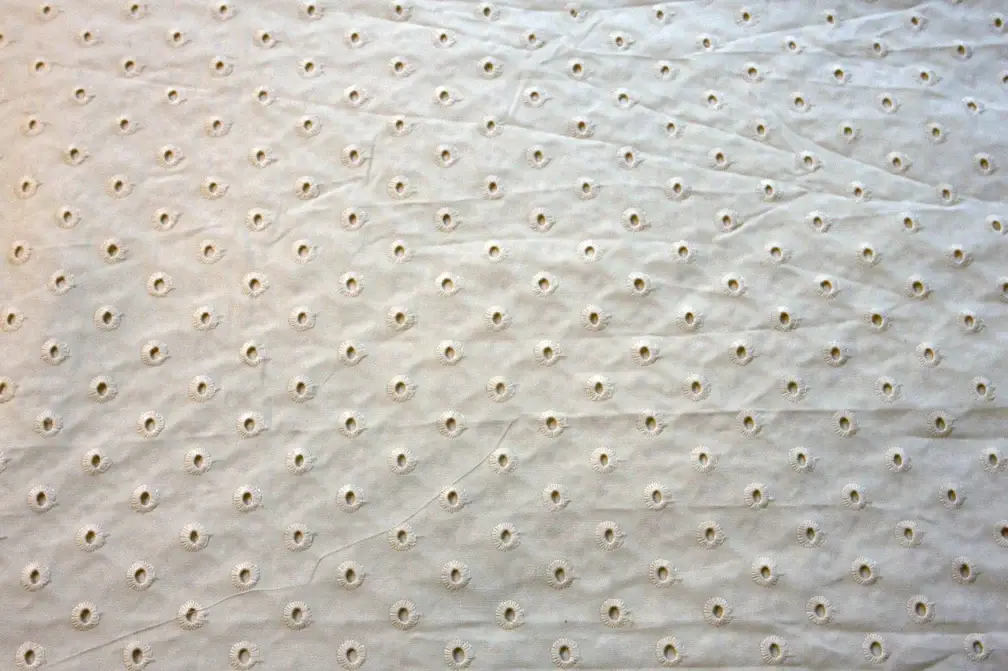 Cotton Eyelet in Cream1