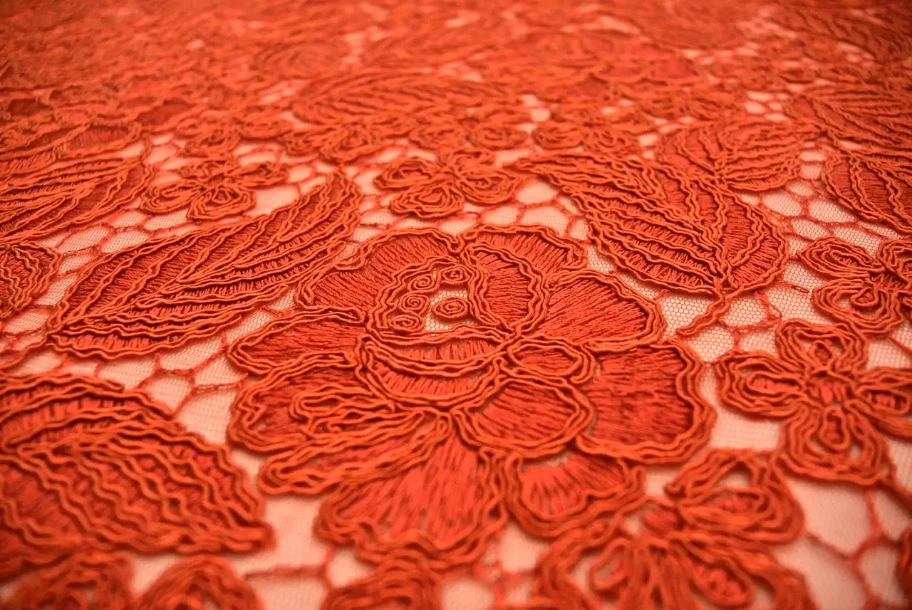 Embroidered Polyester Tulle2