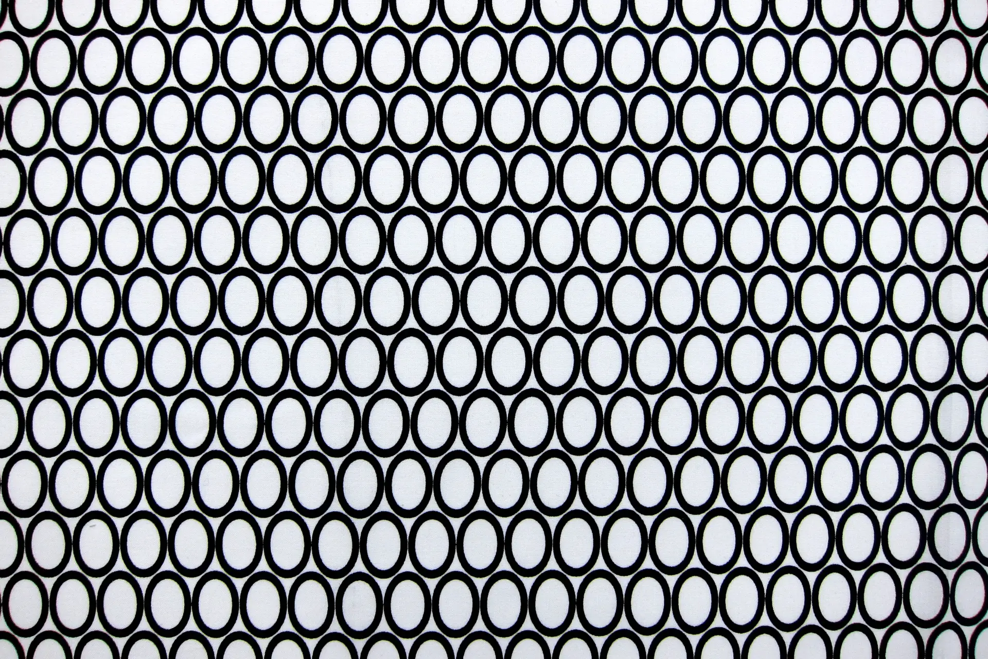 Cotton Broadcloth Print0