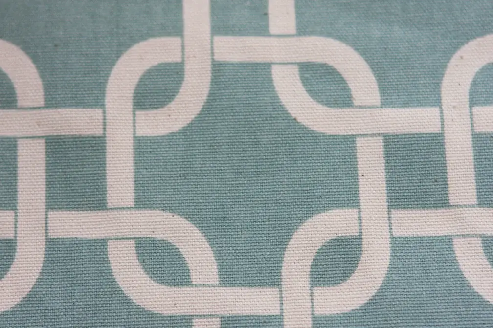 Printed Cotton Canvas2