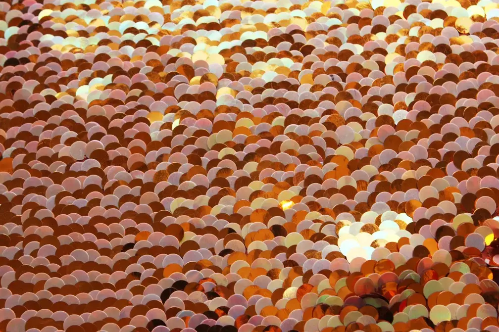 Pailettes on Silk Chiffon1