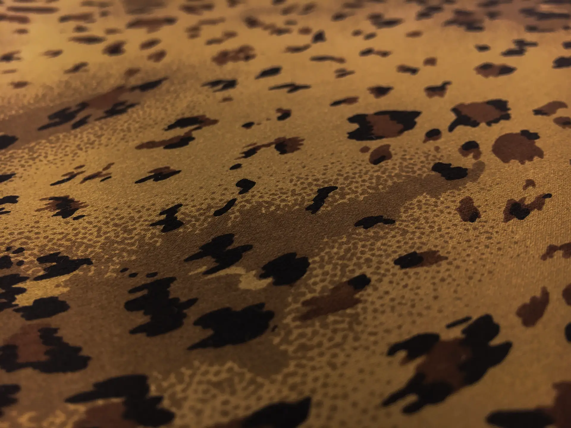 Printed Silk Charmeuse2