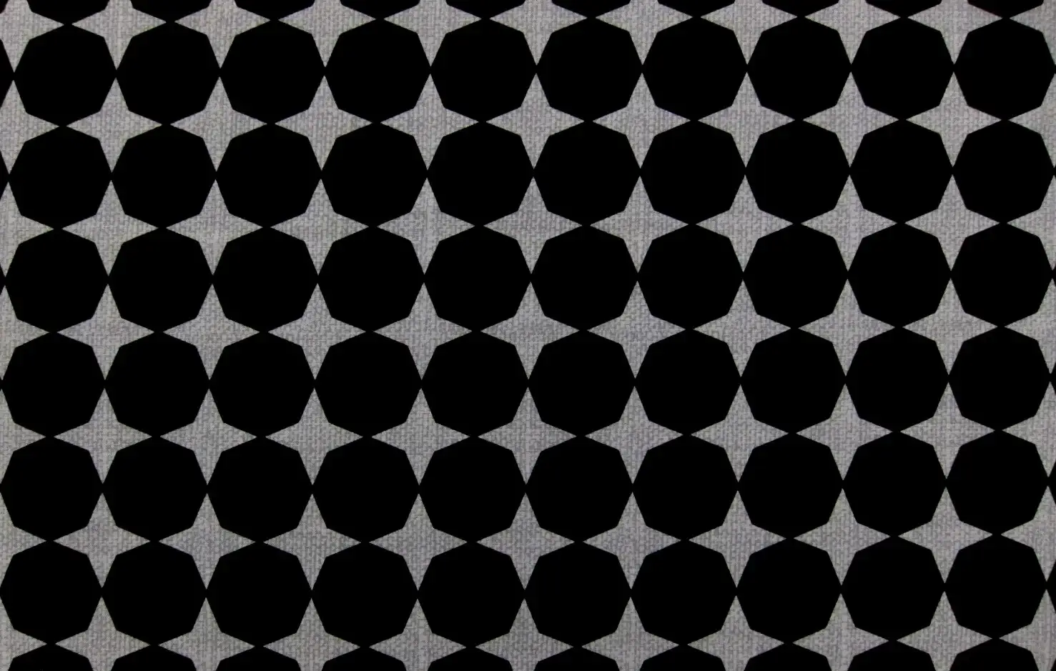 Cotton Broadcloth Print0