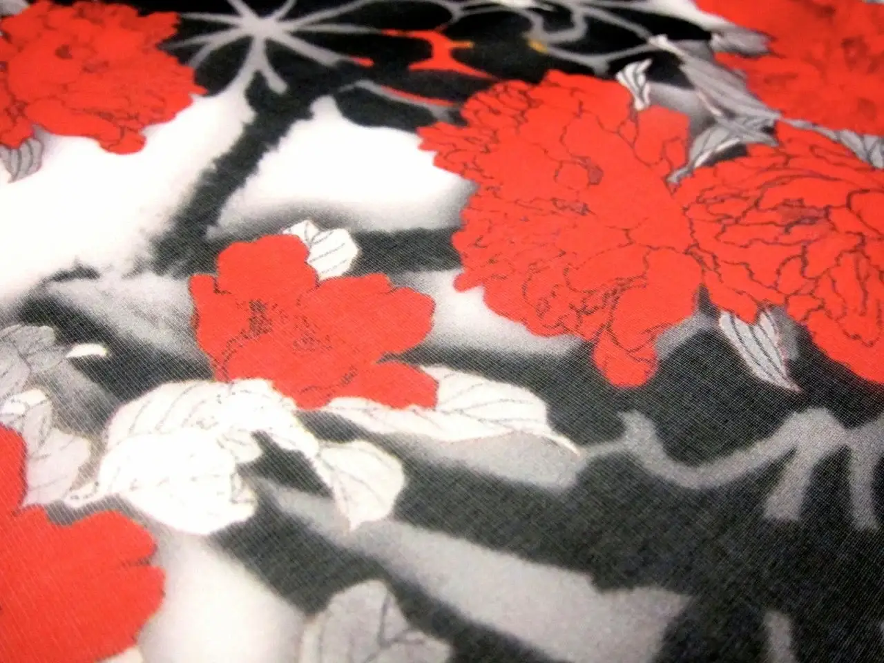 Printed Silk Chiffon2
