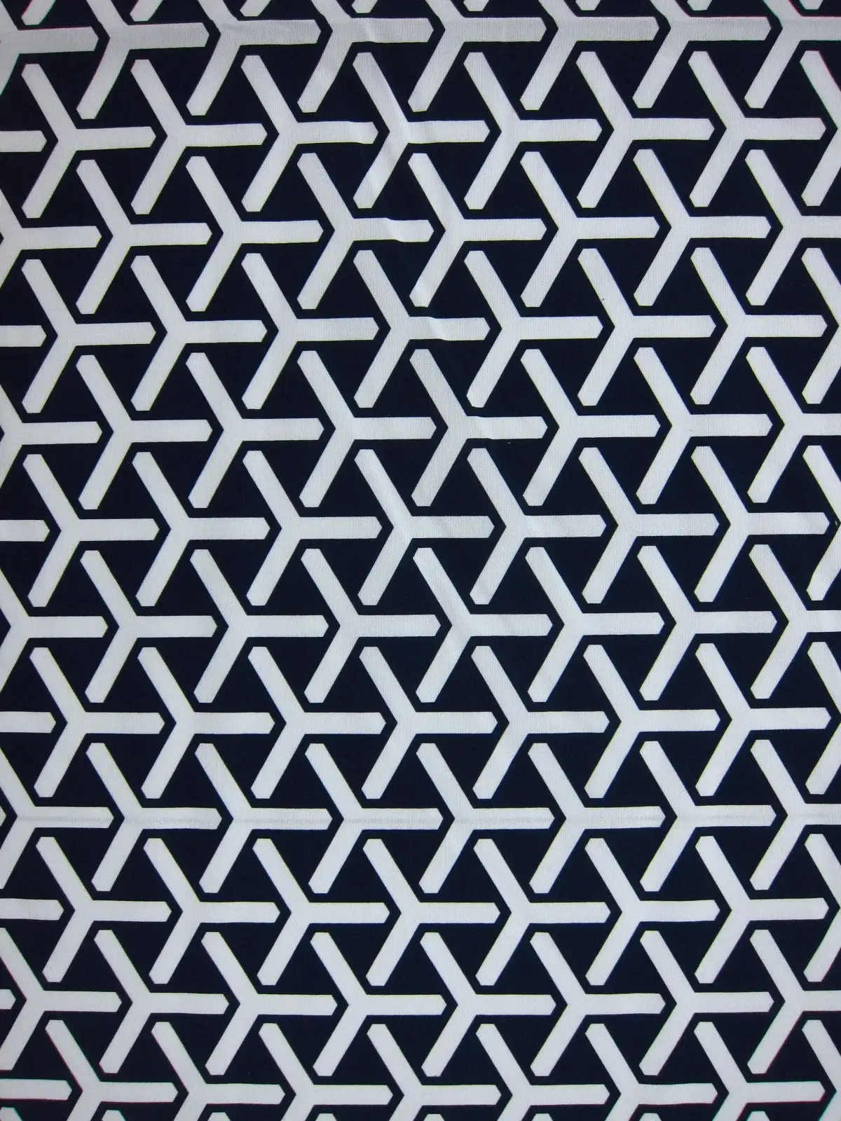 Cotton Canvas Print0