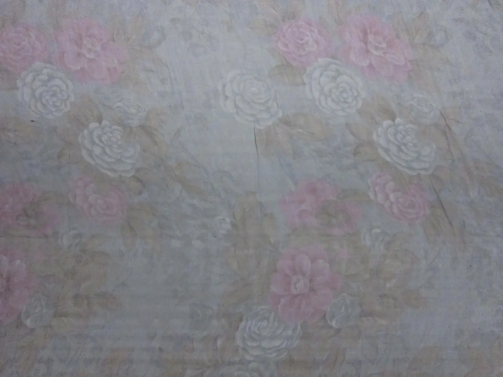 Iridescent Silk Chiffon Print1