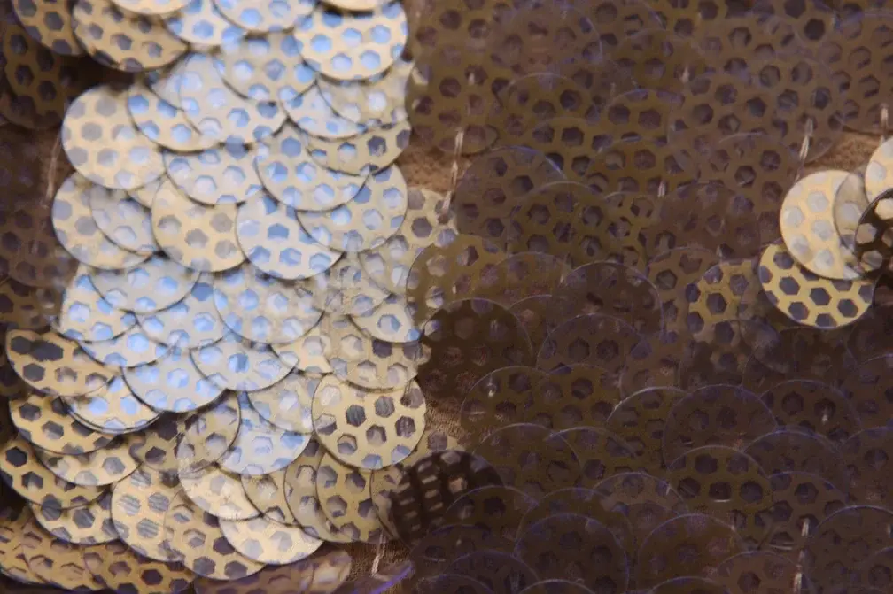 Novelty Paillettes on Silk Chiffon3
