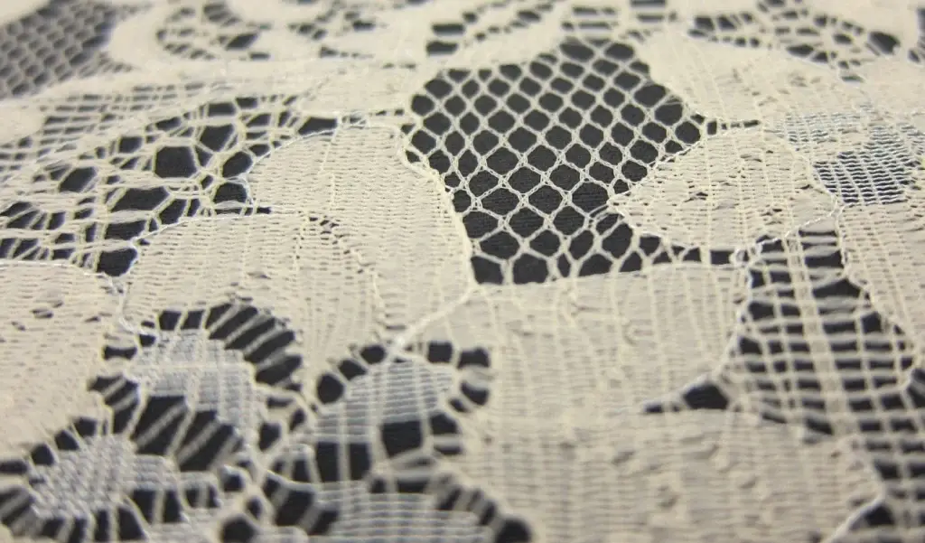 Tafetta Backed Lace2