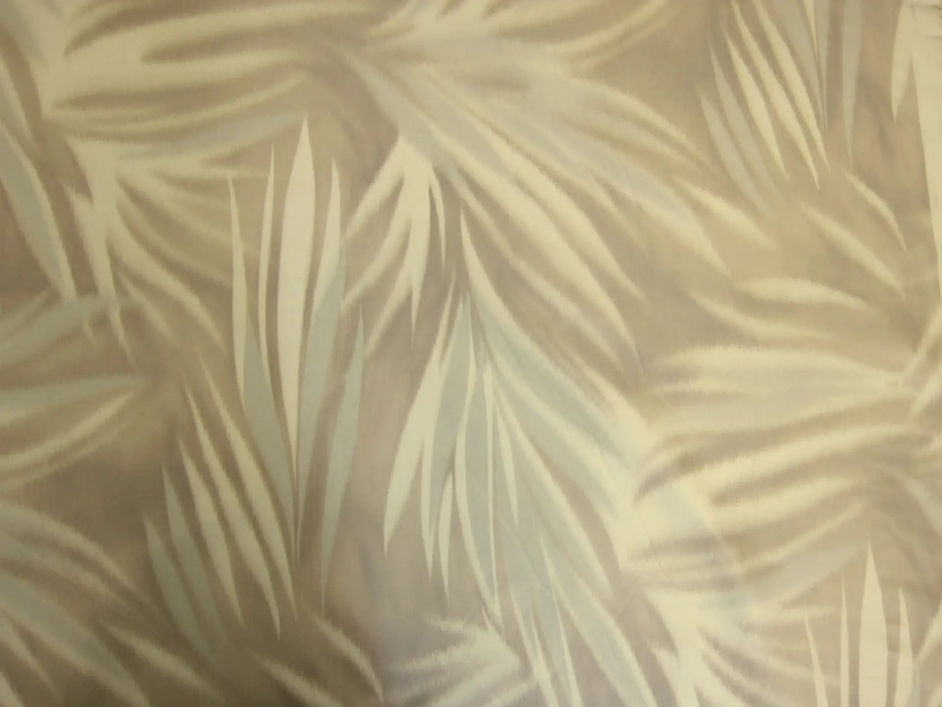 Silk Warp Taffeta0
