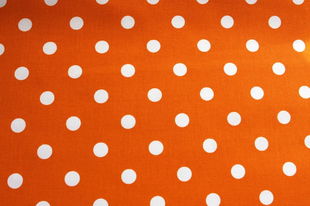 Printed Cotton Canvas0