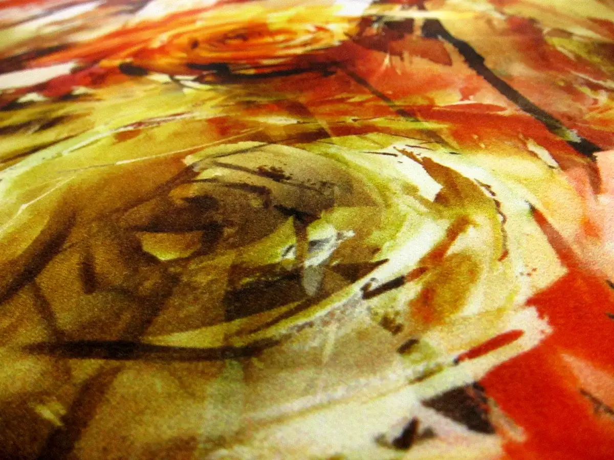 Printed Silk Charmeuse1