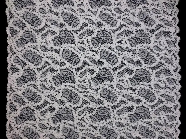 Ribbon Lace3