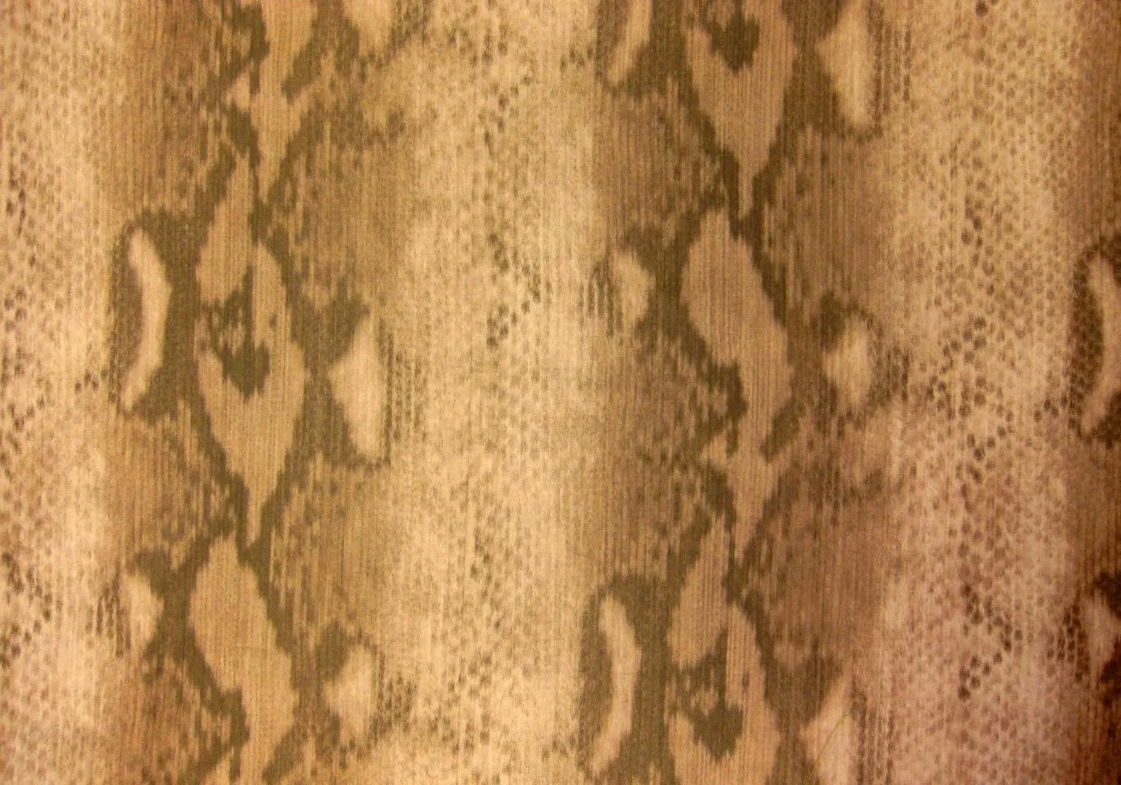 Warp Printed Taffeta0