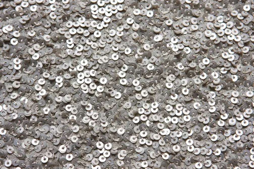 Sequins on Silk Chiffon2
