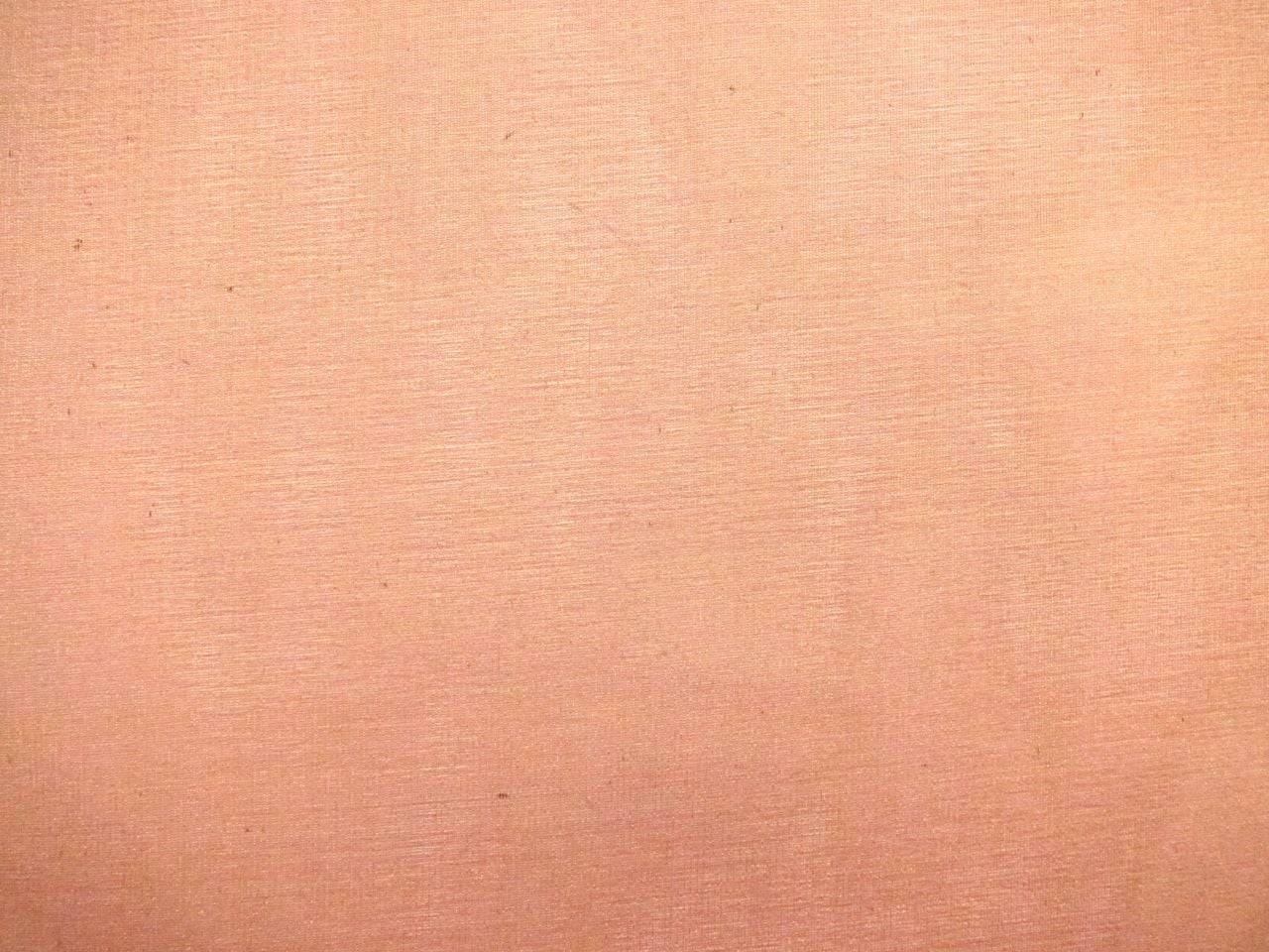 Metallic Silk Organza1
