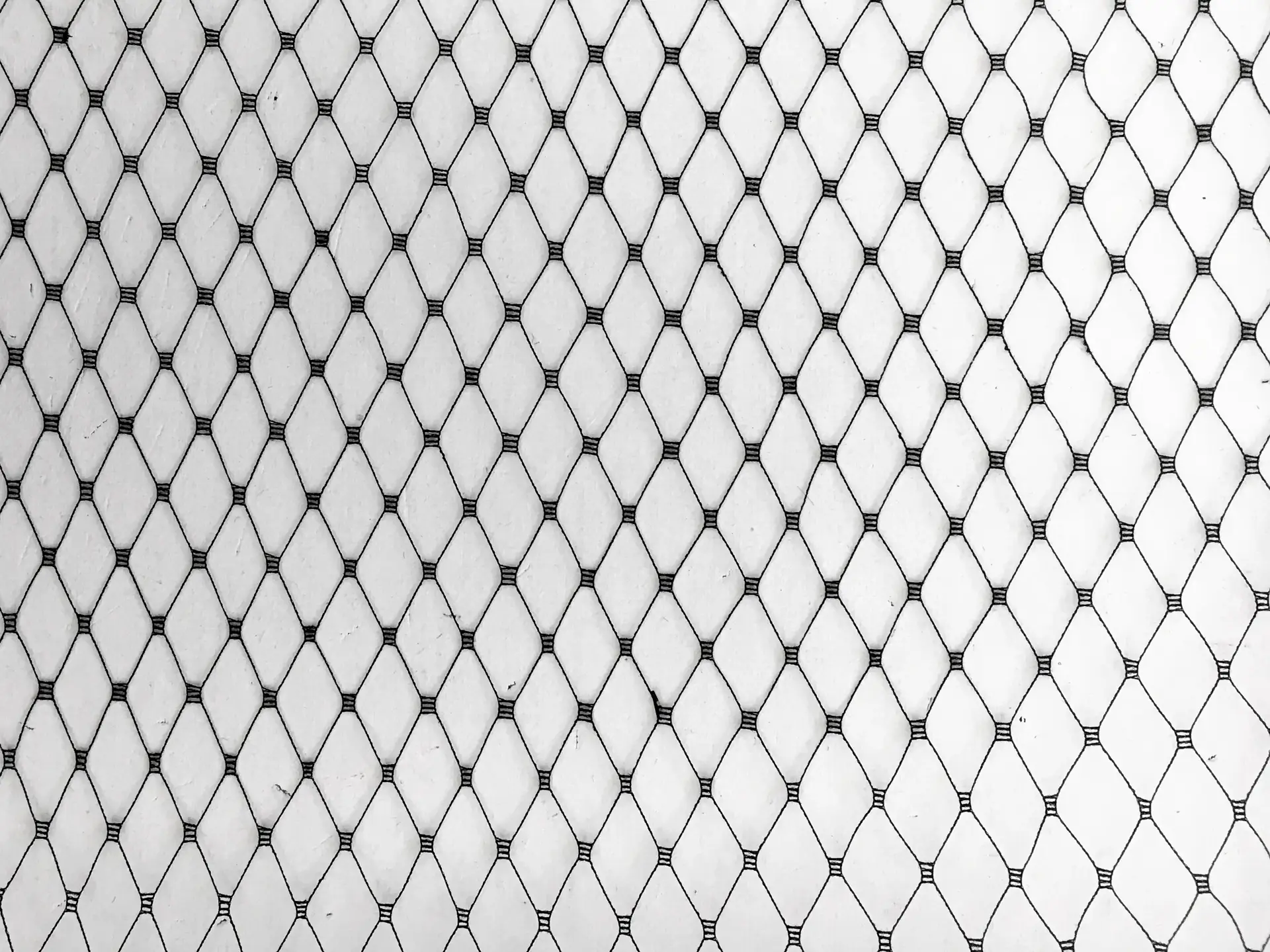 Birdcage Net in Black3