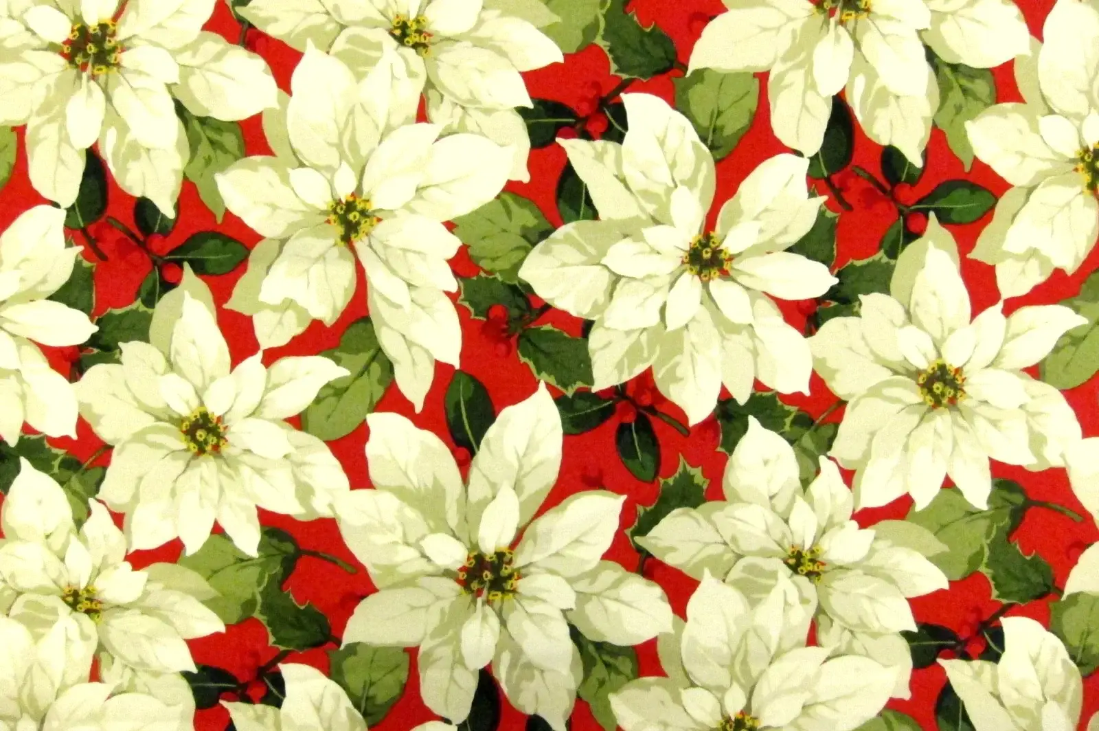 Cotton Broadcloth Print0
