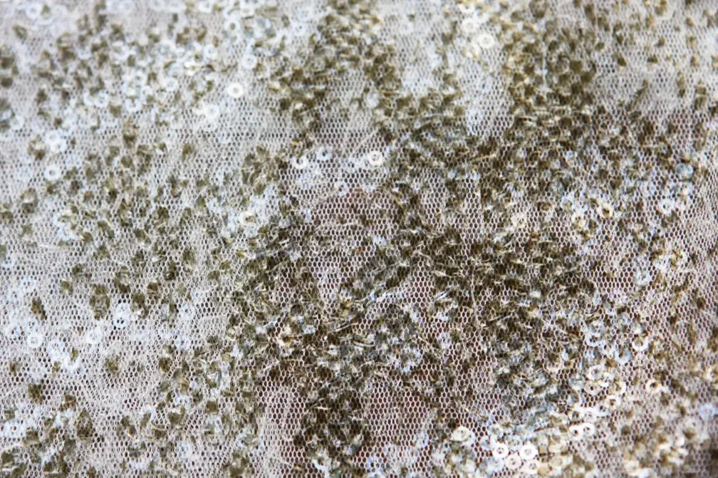 Printed Sequins on Tulle2