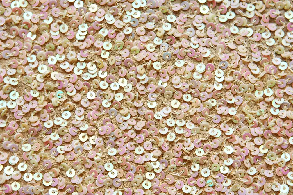 Sequins on Silk Chiffon2