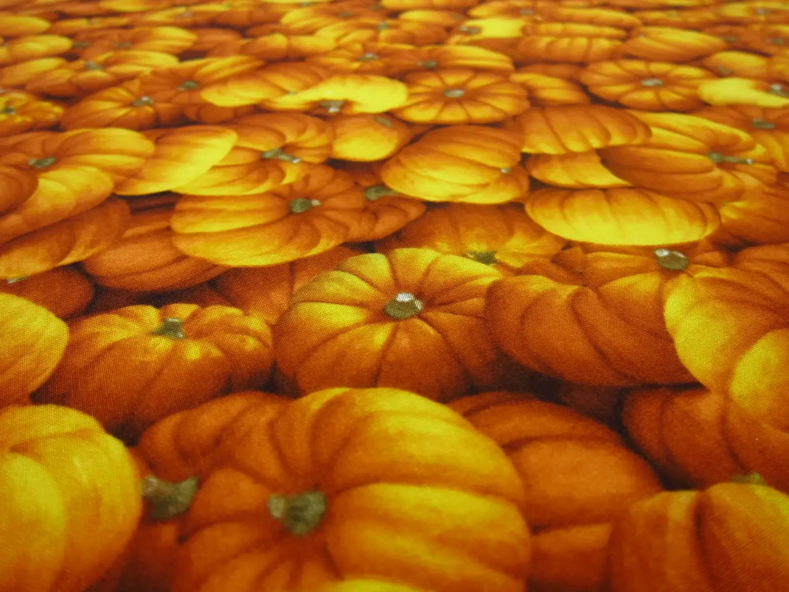 Cotton Broadcloth Print2