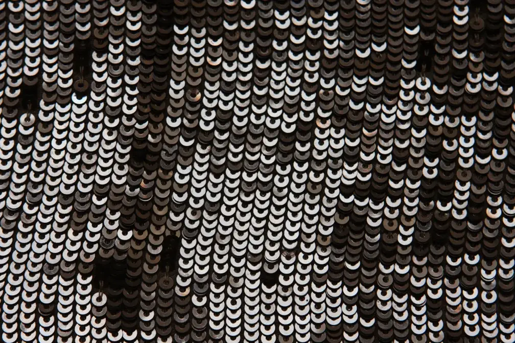 Sequins on Silk Chiffon2