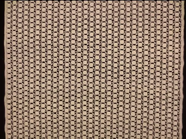 Metallic Guipure Lace3