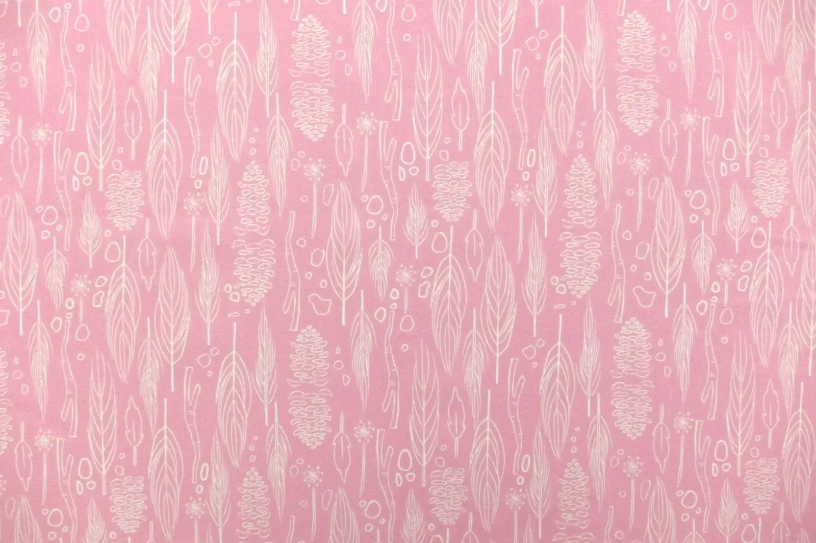 Cotton Broadcloth Print0