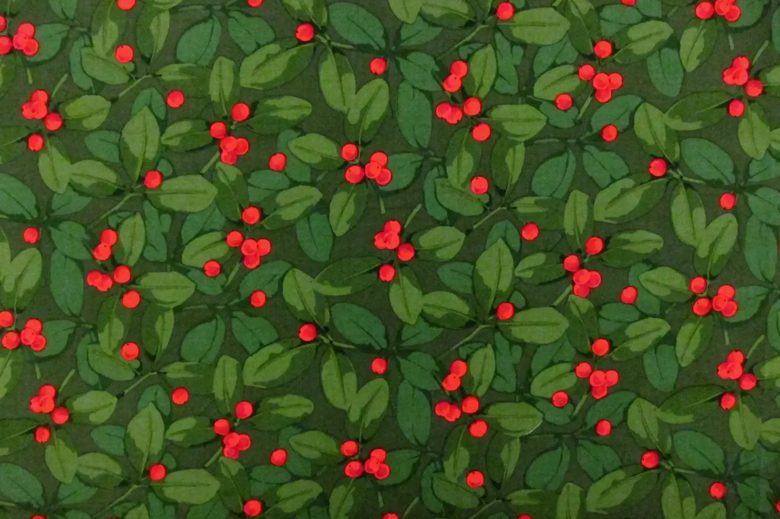 Cotton Broadcloth Print0