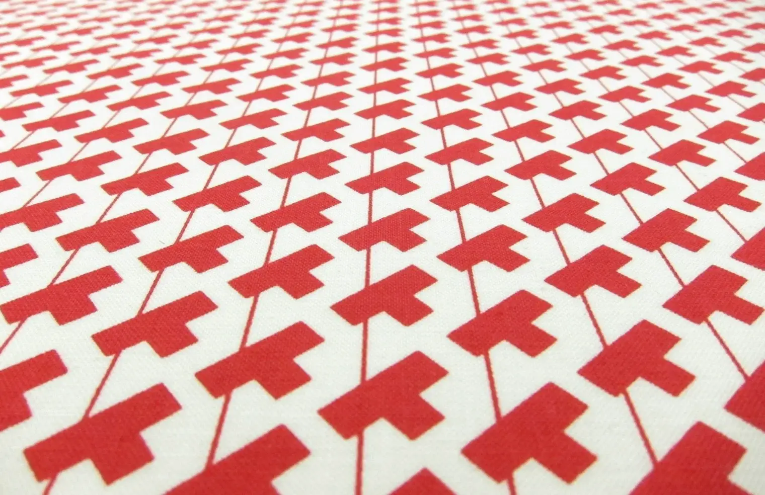 Cotton Broadcloth Print2