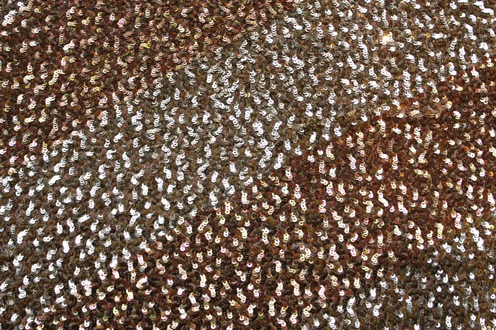 Sequins on Silk Chiffon0