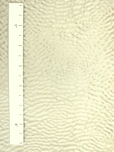 Silk and Cotton Satin Cloqué1