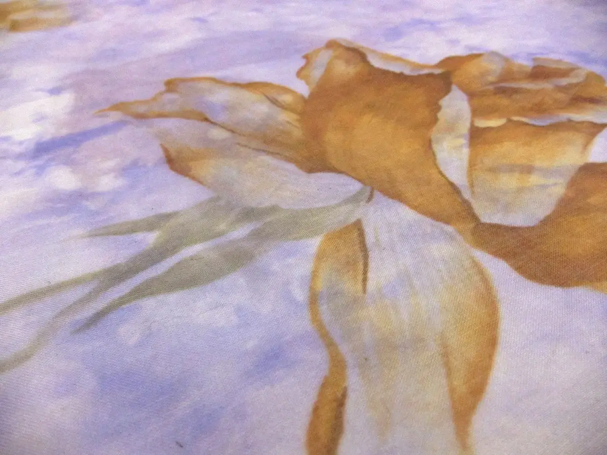 Printed Silk Chiffon1