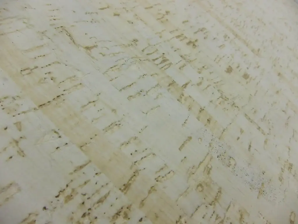 Cork (wide width)2