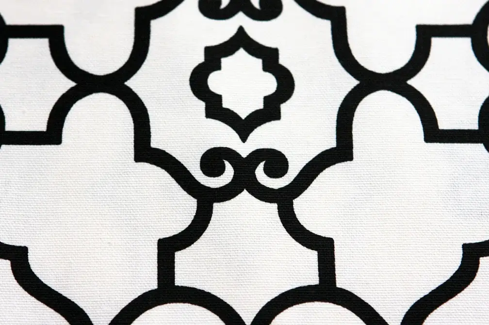 Printed Cotton Canvas2